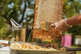 puur 100% Biologische honing
