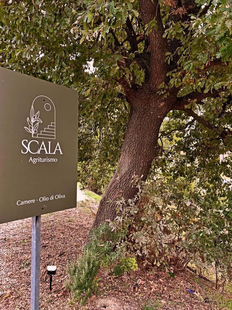 Honing - Scala 250gr. - Afbeelding 5