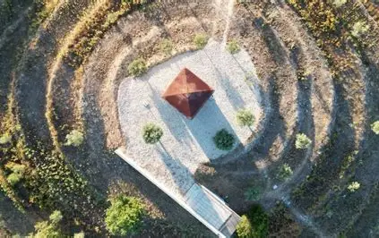 Quinta da Alameda | Extra Vergine Olijfolie | Dão | Portugal - Afbeelding 2