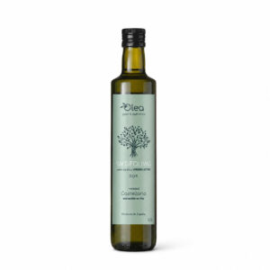 Olea Casatilla - La Mancha Spanje